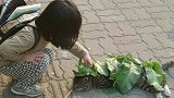 生活中最感人的画面,每一张照片都让人潸然泪下正能量传递