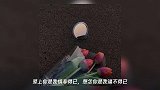 网易云热评:或许你不会知道满天星的花语是什么,因为你不在意我……