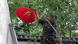 大衣哥现在才撤掉过年的灯笼，平时太忙了，忘了拿掉！