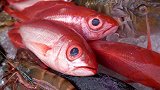 日本海鲜料理红鲷鱼刺身，一鱼双吃一级棒，一条根本不够吃