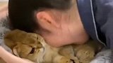 小姐姐 快上班去吧 猫快疯了