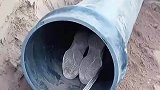 这活谁爱干谁干，我罢工了