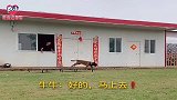 狗狗牛牛帮主人取水被金毛王子打小报告，牛哥踹门还是那么霸气！