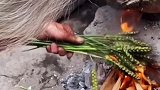 烤麦子你小时候这样吃过吗儿时的味道你还记得吗