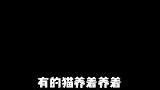 自从男朋友出差回家后，猫咪就变心了，下一幕我受不了了！