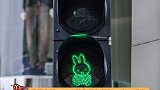 兔子红绿灯，这也太可爱了，你都见过哪些独一无二的的红绿灯