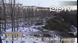 男孩扔猫意外身亡