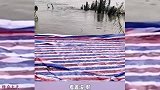 爆笑：你们不用太有干劲，我们这边草都供不上溜儿了