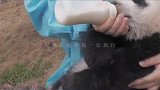 如果你能带我一起