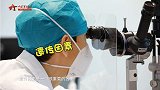 军视“会客厅”：全国爱眼日 快行动起来保护视力健康（上）