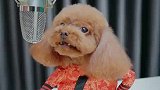 两天不见妞妞厉害啦