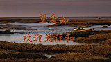 伤心情歌《望爱却步》歌曲深情动听，新颖优美更好看