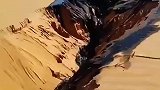 这个环境不错还有小溪