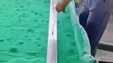 给钢管上色，涨见识了