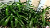 VID_20150214_221702.mp4