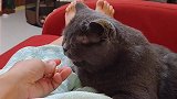 屋里太冷了，咋回事儿呢