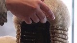 英国的法官和律师为什么要带假发套开庭呢