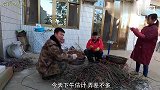 农民小天天和二哥加工电线，媳妇干活挺利索，二哥：给你发工资