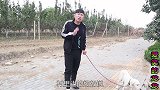 小伙奉命来驱赶黄鼠狼，无意发现一个儿童书包，最后做法值得学习