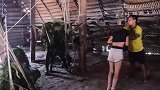 马蒂斯部落集体狩猎，上百人同时出动，雨林中的猴哥炸了窝