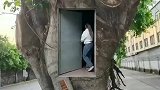 住在树屋里的女子！网友：上面还有一家