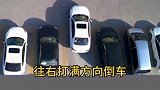 倒车入库技巧教学，你学会了吗