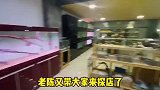 陈哥探店，福州国艺水族市场：彩仙阁，专业清爽简约的七彩神仙缸