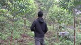 偏僻山洞经常有人出入，很好奇他们在里面干嘛，进去一看太美观了