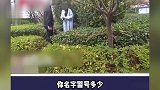 女子遭诈骗躲草丛转账10万，民警怒怼骗子：中国人不骗中国人