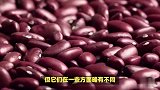 揭秘-红豆与赤小豆的区别，你真的懂吗？