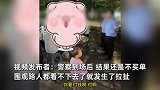 无赖大人吃小孩“霸王餐”，只剩2个非要3个才付钱，小孩怒报警
