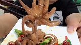 吃货吃八爪鱼，海里面的喇叭花一口闷！