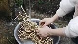 有没有跟我一样，喜欢吃这东西的，应该有很多人不知道这是什么吧