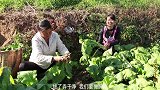 云南山里人用这方法腌酸菜，做一次够吃一年，看着都馋人！