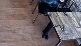 男子在饭馆吃饭，故意将钱扔地上让老板捡，老板的做法太解气了