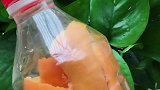 橘子皮别扔！