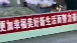 狗狗太要面子，硬是一声没吭