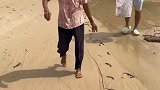 台风过后满地都是虾，再不捡走就跑了