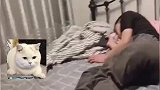 男子喝醉借宿友人家，猫咪偷偷摸摸单手撑床暗中观察