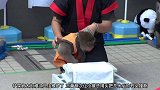这猴子练过铁头功，它现在要表演一头盖骨，敲碎石头