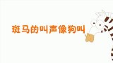 动物冷知识 第7集 斑马的叫声像狗叫
