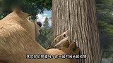 熊出没之探险日记2：动物跟主人在一起，做什么都特别的相似