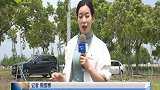 本地赤松茸上市正当时 口感爽滑受欢迎
