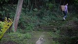山里的柚子又大又圆，摘回来做成蜂蜜柚子茶，剩下的连瓤都不放过