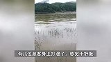 游客露营一觉起来帐篷泡水里，景区：突降大雨所致，露营地暂停开放