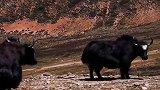 旅游是我最快乐的事。我会忘记平常的烦恼。