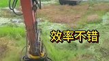 挖掘机打捞水草，效率不错