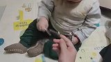 这个小肥崽是个小坏蛋啊
