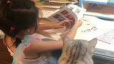小棉袄一学习，小猫咪就过来蹭课，接下来闺女的反应，妈妈都乐了