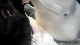 白鲸要和小姐姐亲亲，不料发生这一幕，小姐姐都笑了！